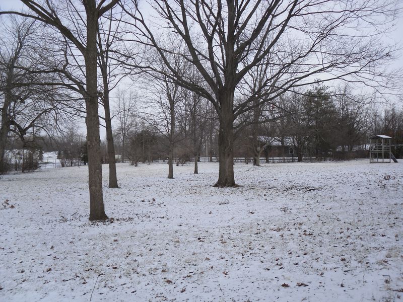 SDC10077.JPG