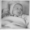 young01.jpg
