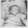 young03.jpg