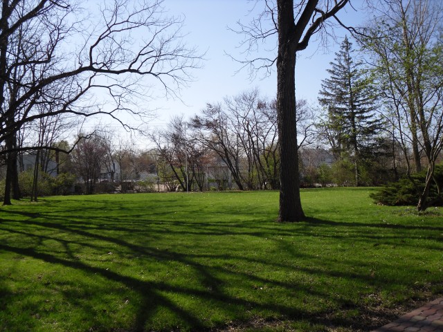 13-FrontYard.jpg