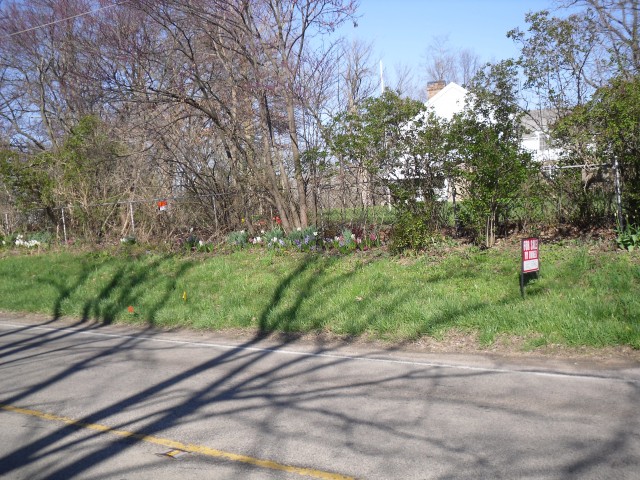 2-RoadView.jpg