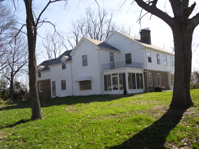 7-Back.jpg