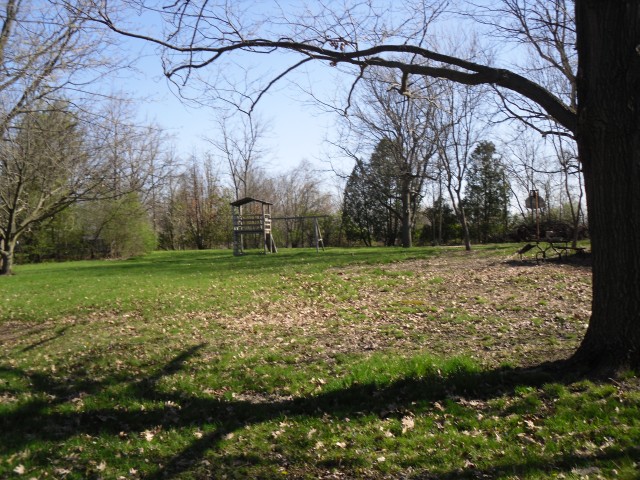 8-BackYard.jpg