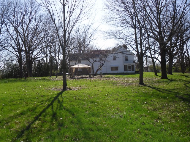 9-BackYard.jpg