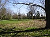 8-BackYard.jpg