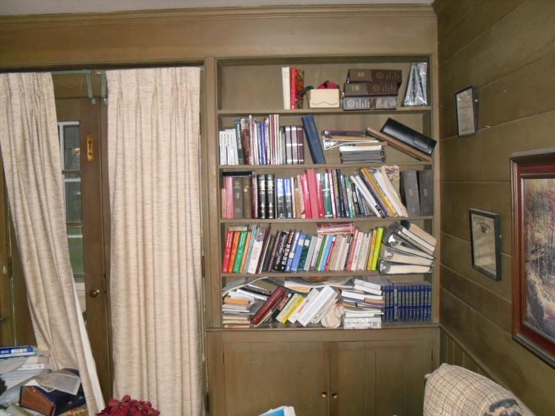 13-LibraryOneOfTwoBookShelf.jpg