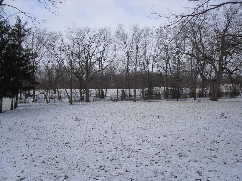 SDC10078.JPG