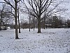 SDC10077.JPG
